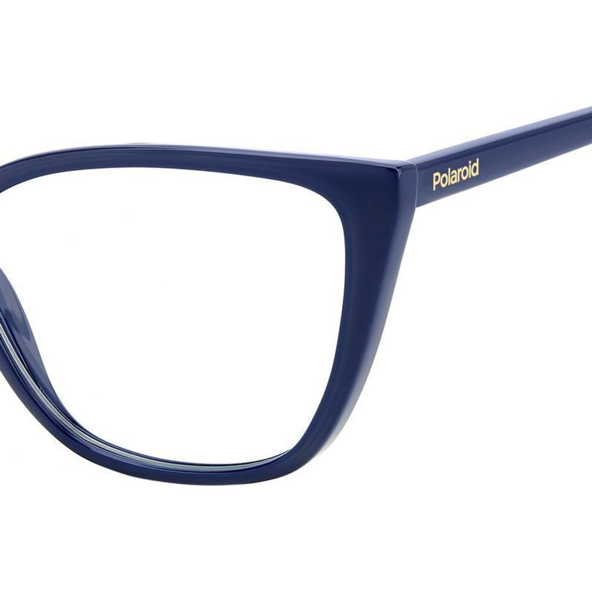 Polaroid Glasses PLD D545