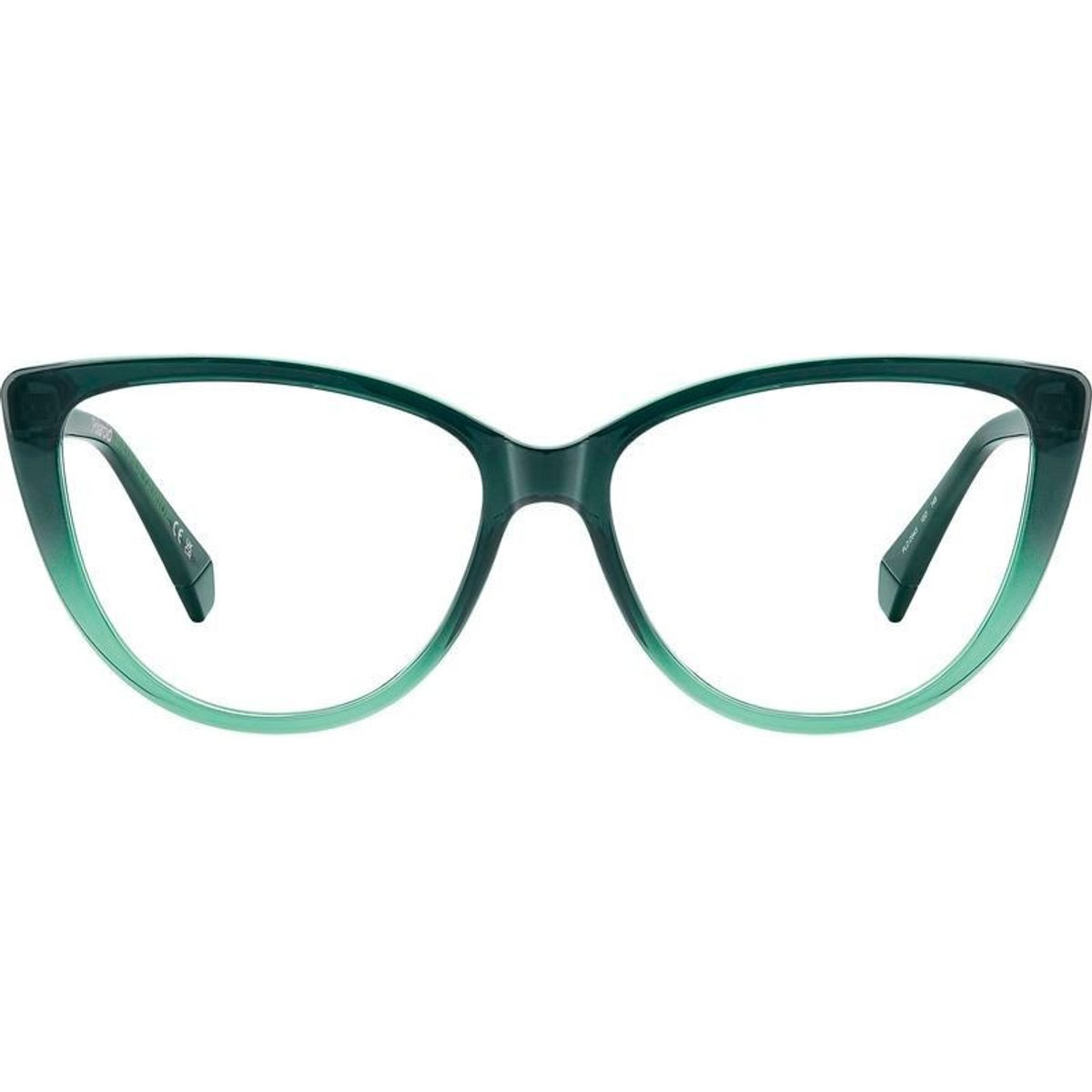 Polaroid Glasses PLD D543