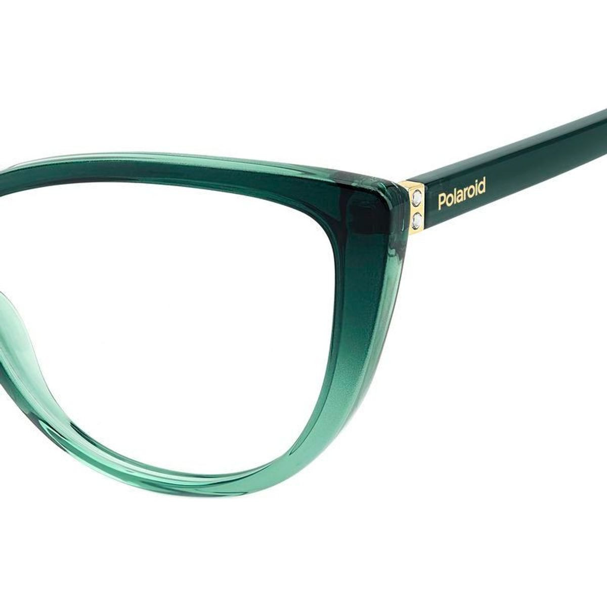 Polaroid Glasses PLD D543