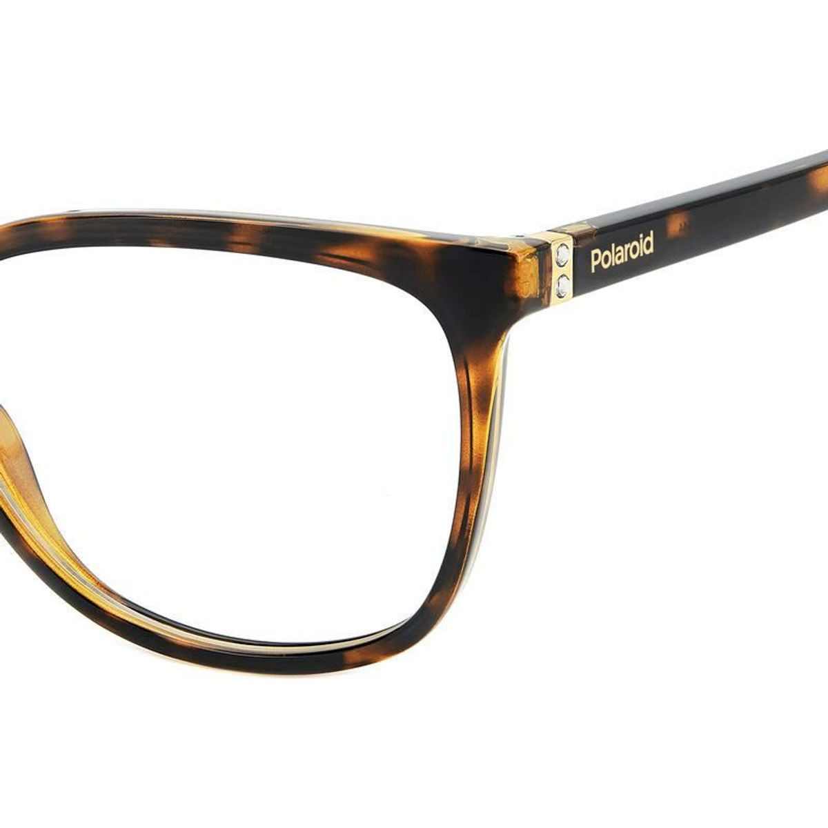 Polaroid Glasses PLD D544