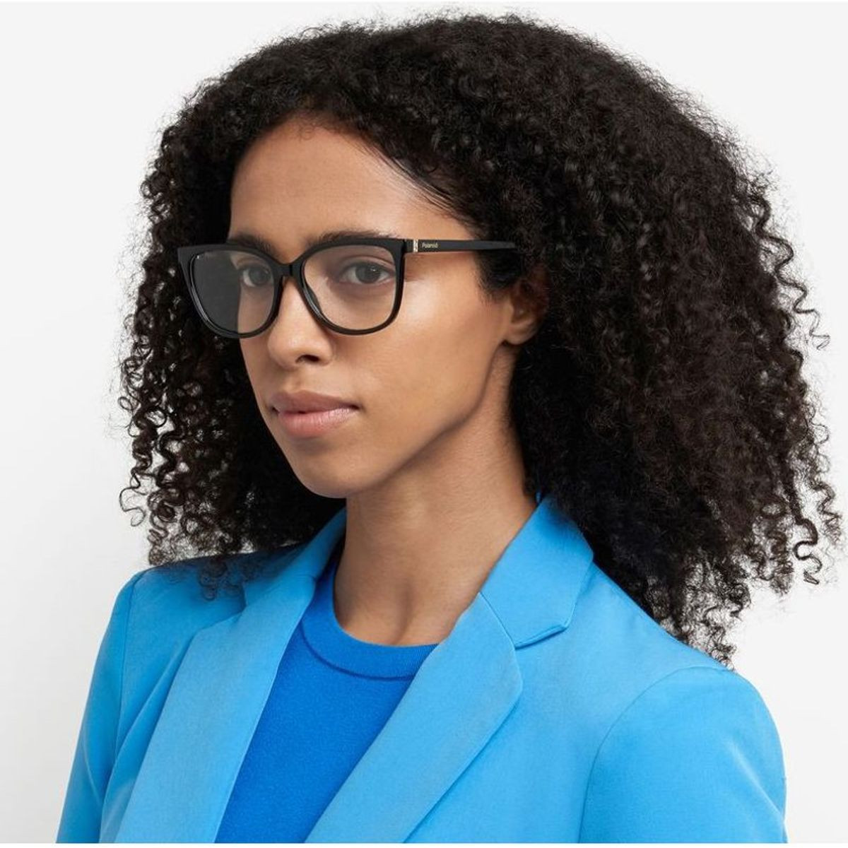 Polaroid Glasses PLD D544