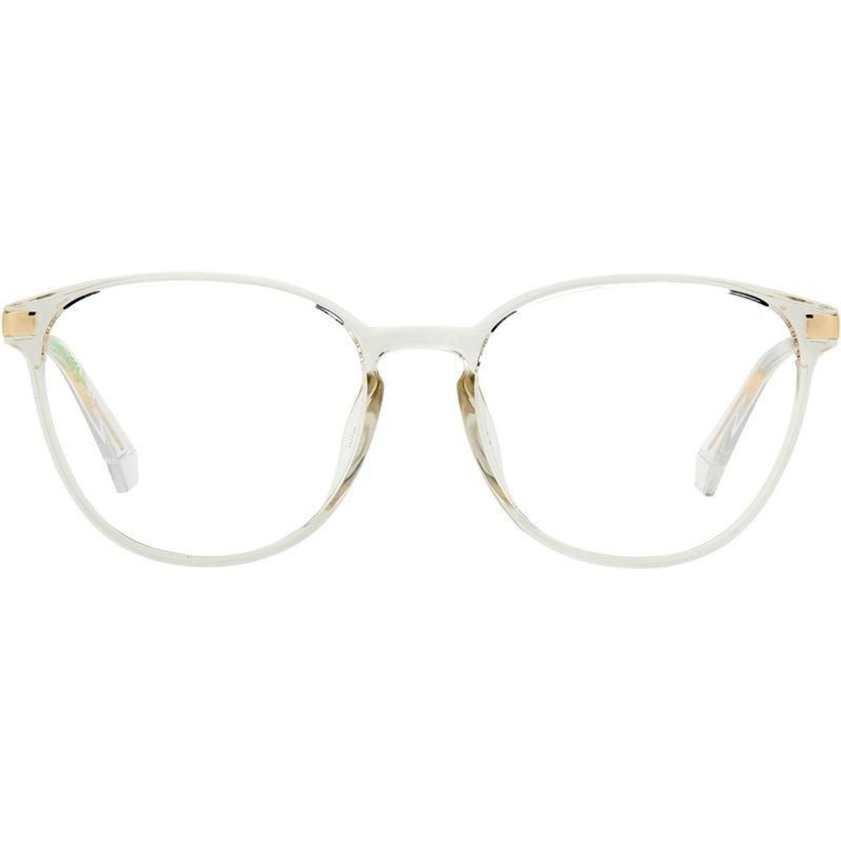 Polaroid Glasses PLD D489/G