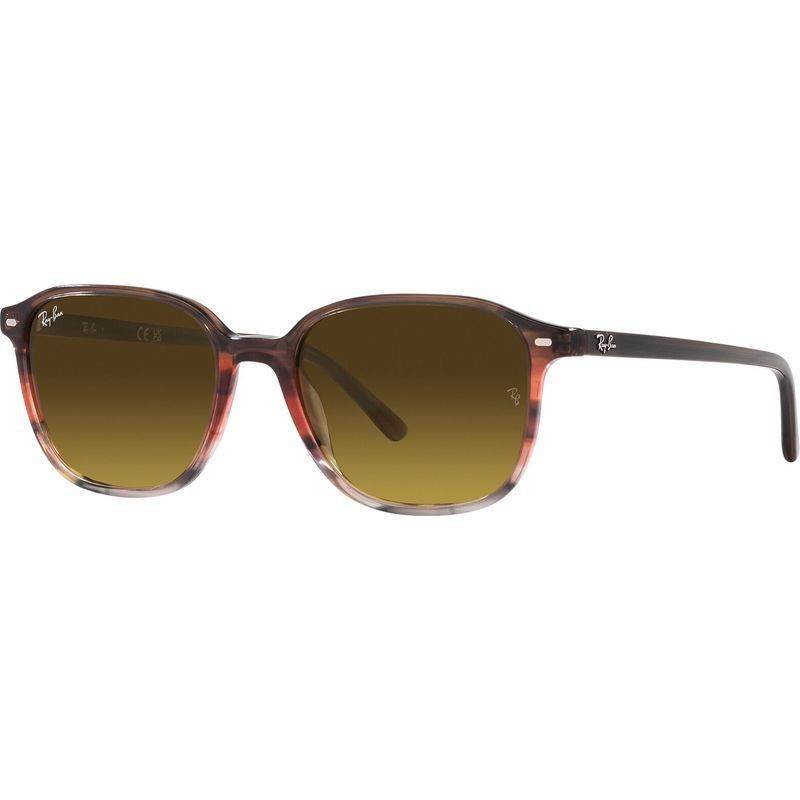 Ray-Ban Leonard RB2193