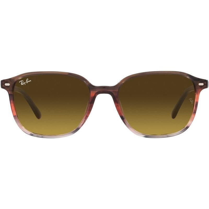 Ray-Ban Leonard RB2193