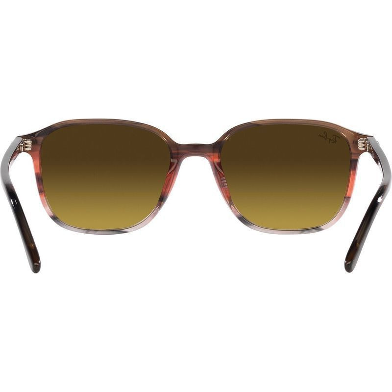 Ray-Ban Leonard RB2193