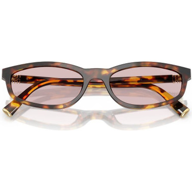 Shop Miu Miu MUA06S Sunglasses Honey Havana/Pink | Afterpay display picture 2