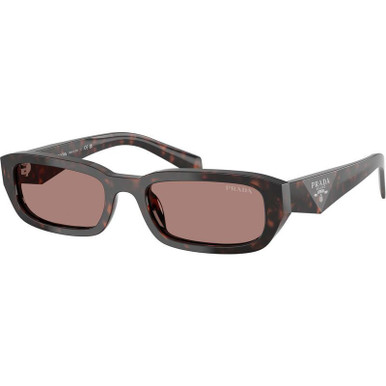 Root Tortoise/Light Brown Lenses