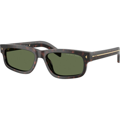 Root Tortoise/Green Polarised Lenses 57 Eye Size