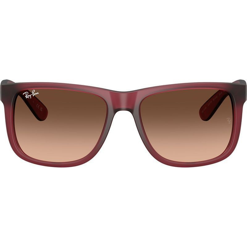 Ray-Ban Justin Classic RB4165