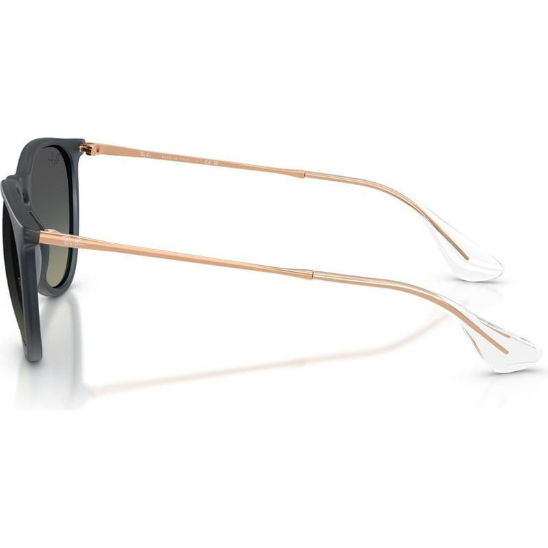 Ray-Ban Erika Classic RB4171