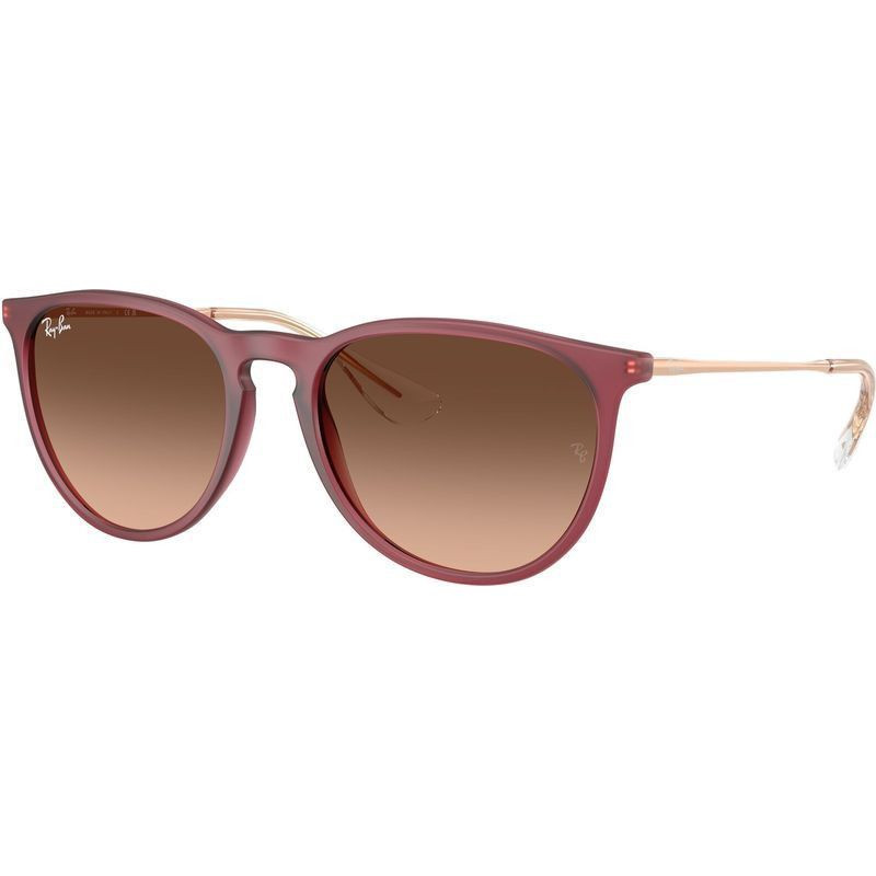 Ray-Ban Erika Classic RB4171