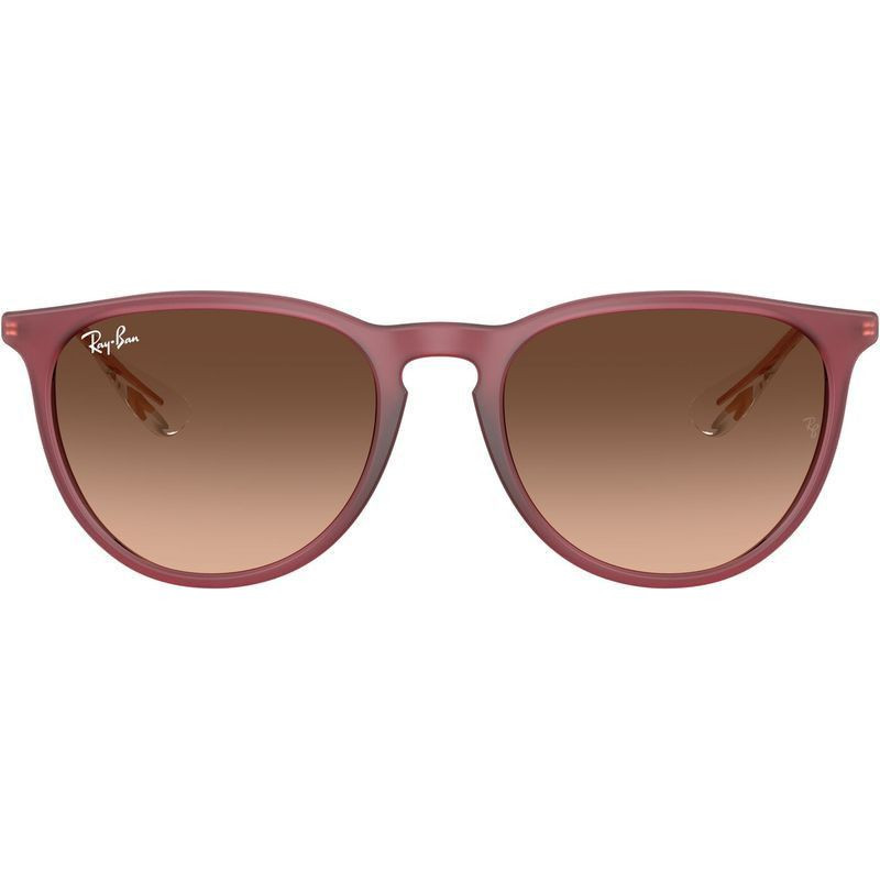 Ray-Ban Erika Classic RB4171