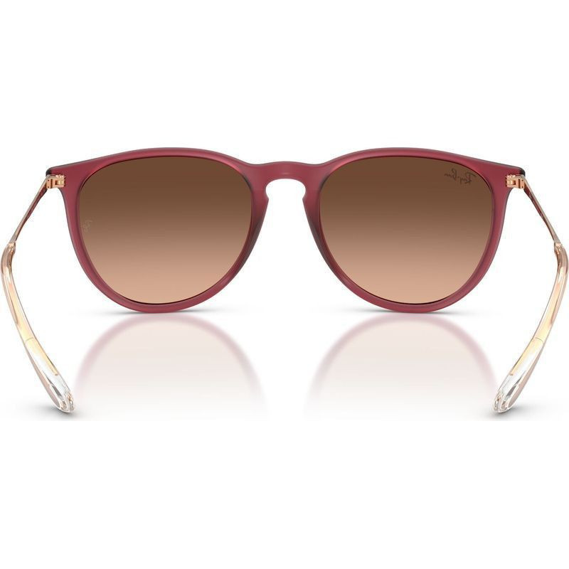 Ray-Ban Erika Classic RB4171