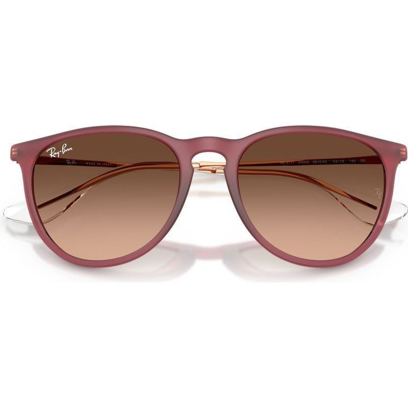 Ray-Ban Erika Classic RB4171