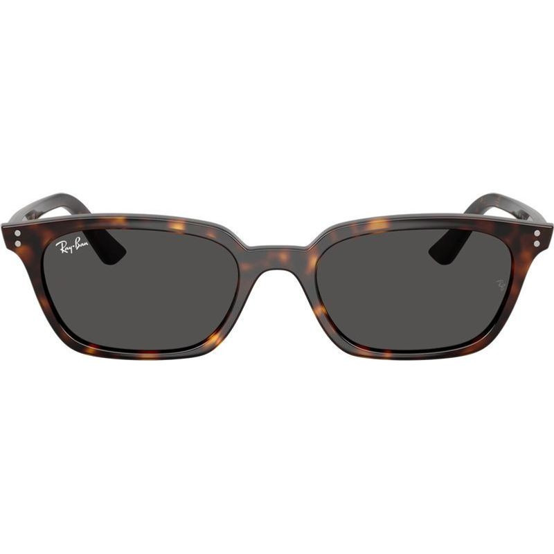 Ray-Ban Zaya RB4456
