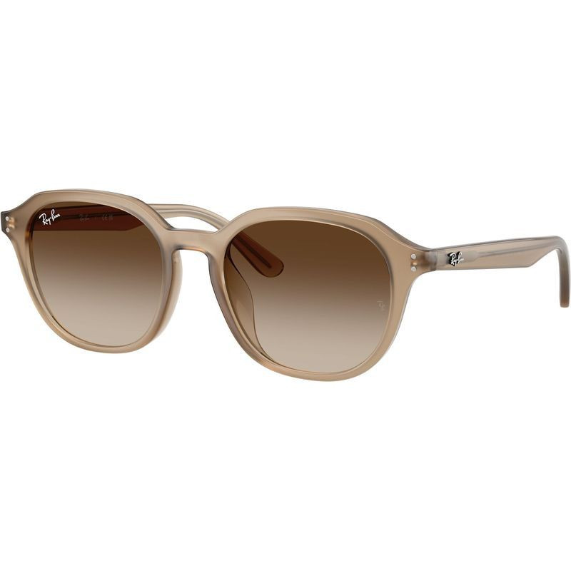 Ray-Ban RB4459D