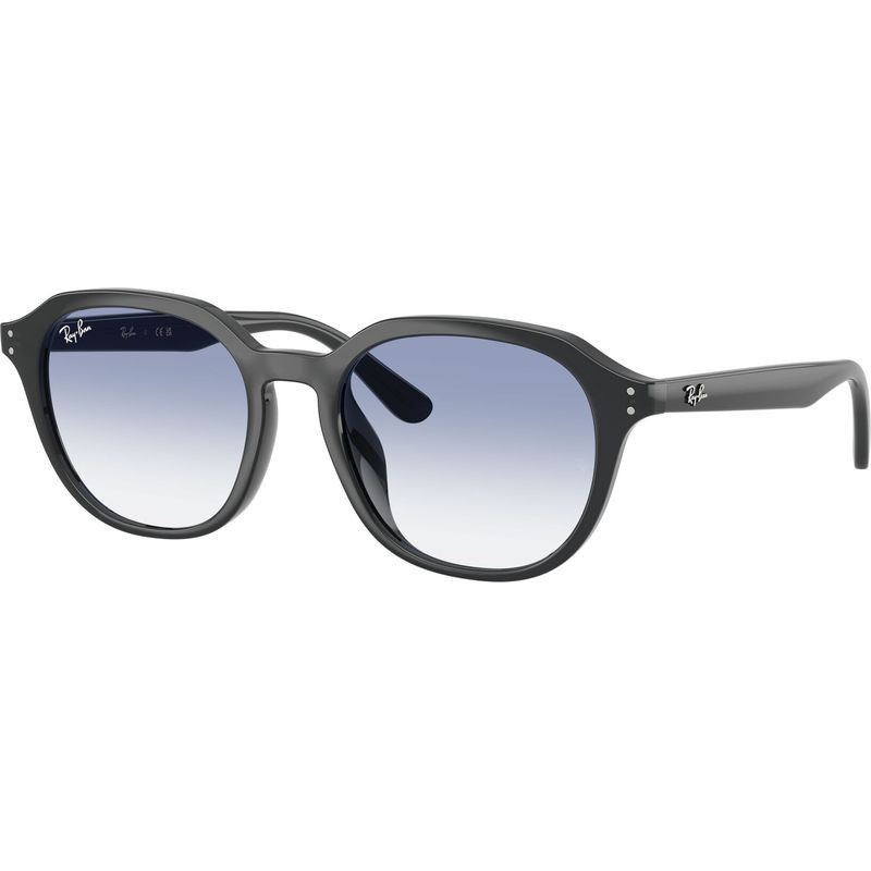 Ray-Ban RB4459D