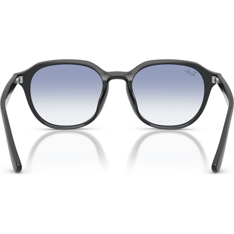 Ray-Ban RB4459D