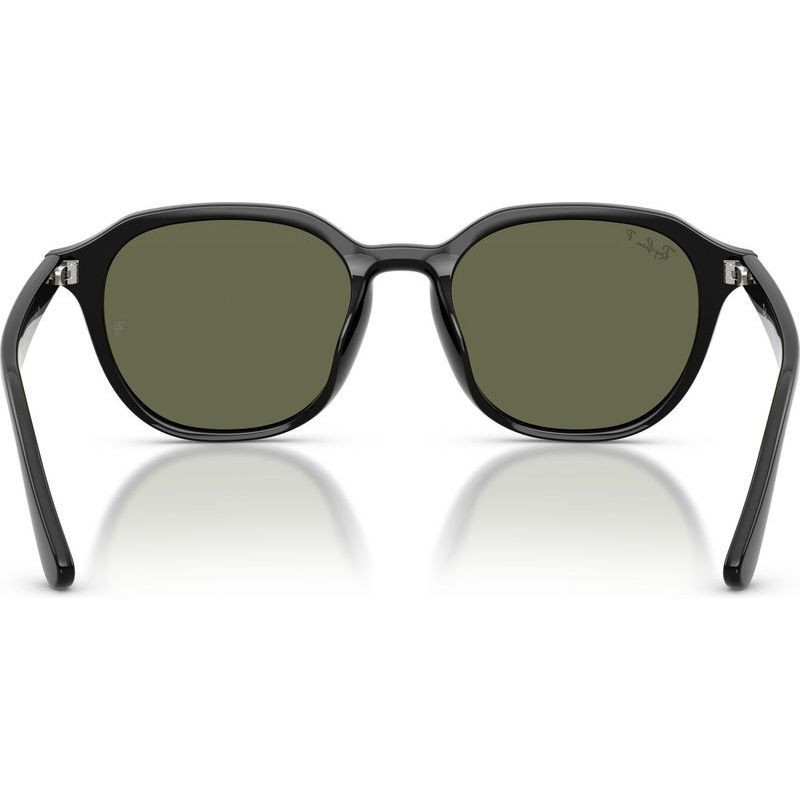 Ray-Ban RB4459D