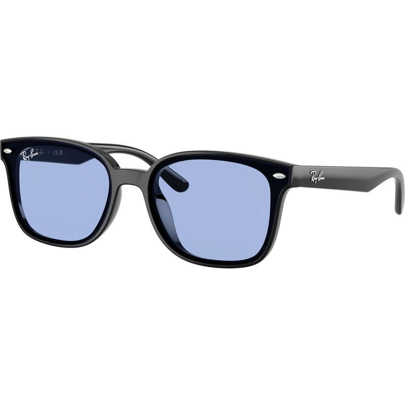 Ray-Ban RB4461D