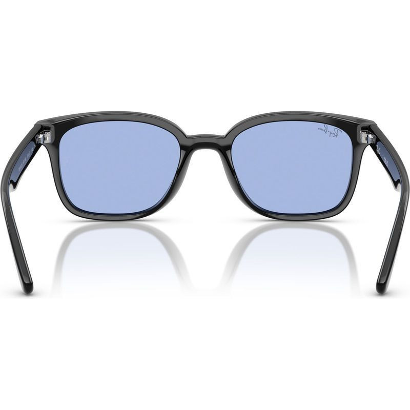 Ray-Ban RB4461D