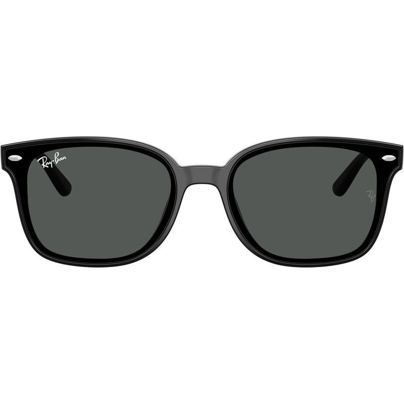 Ray-Ban RB4461D