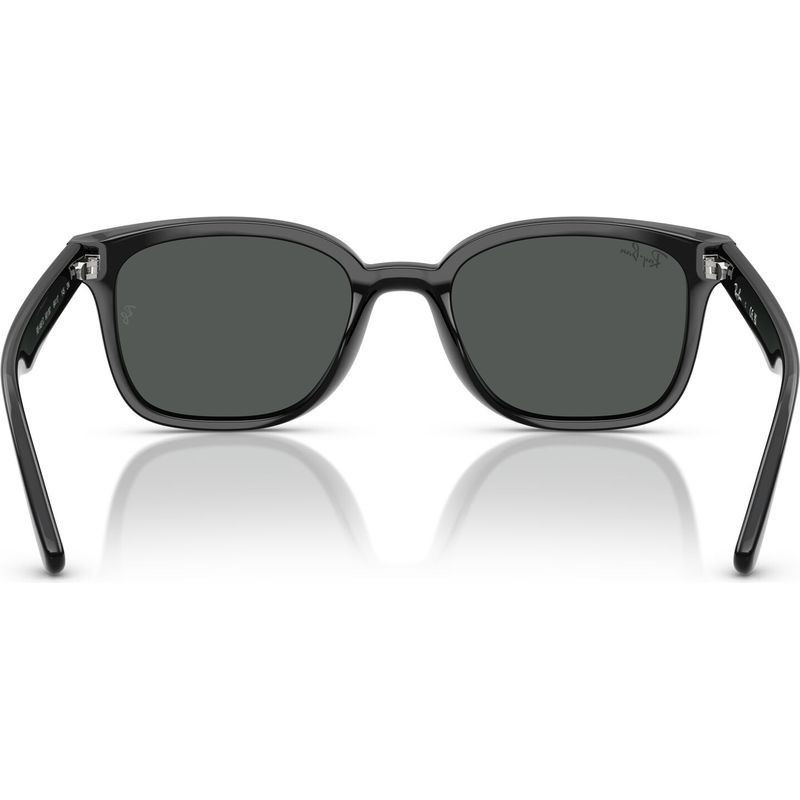 Ray-Ban RB4461D