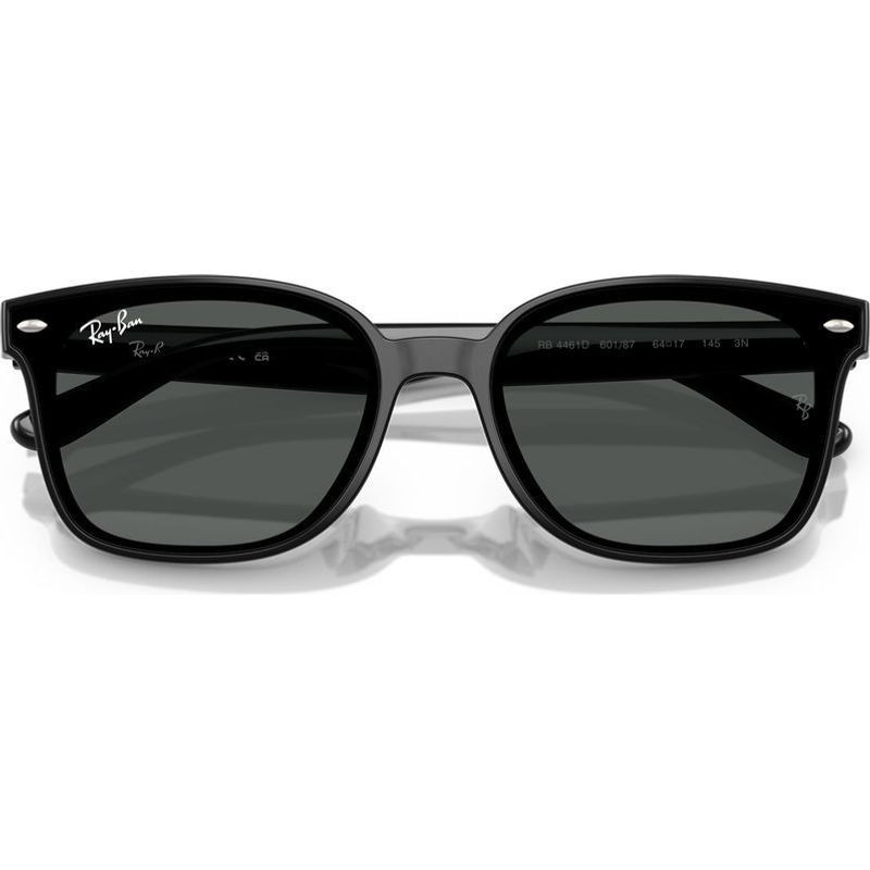 Ray-Ban RB4461D