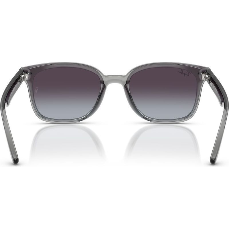 Ray-Ban RB4461D