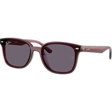 Transparent Dark Brown/Violet Lenses