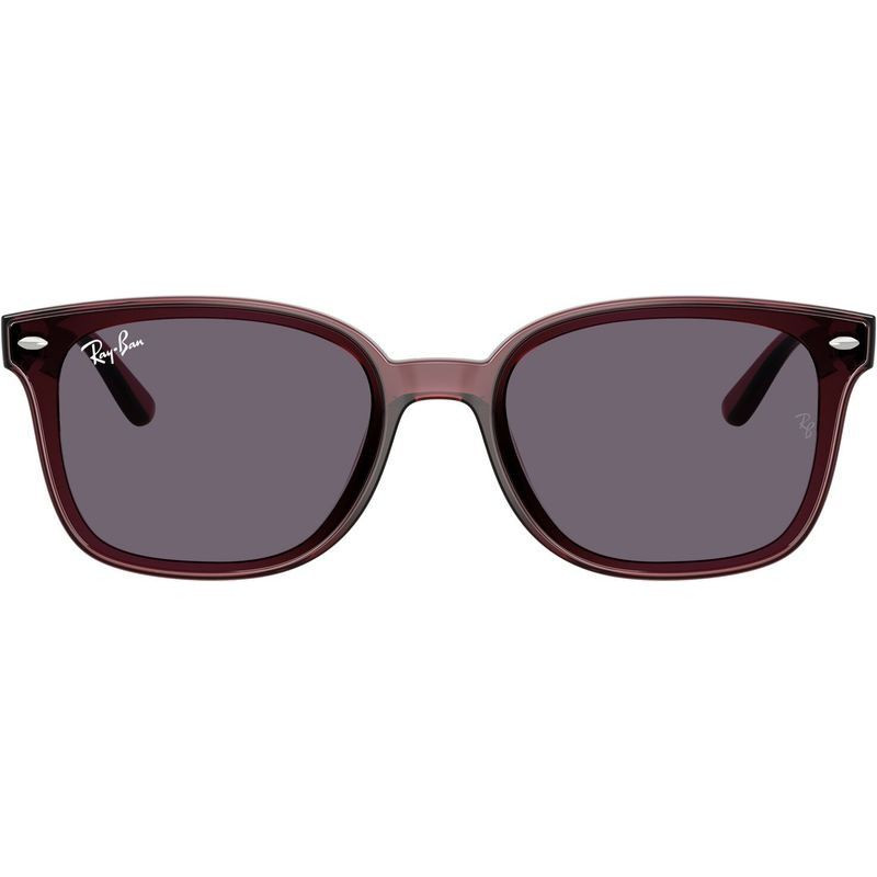Ray-Ban RB4461D