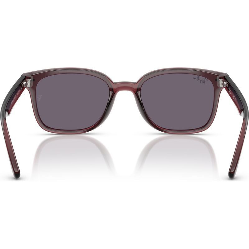 Ray-Ban RB4461D