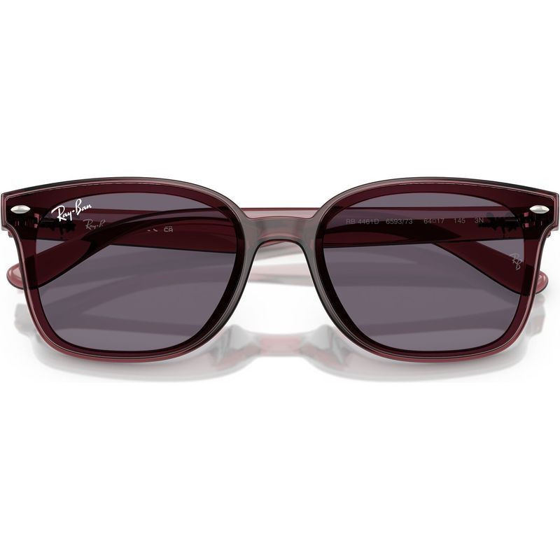 Ray-Ban RB4461D
