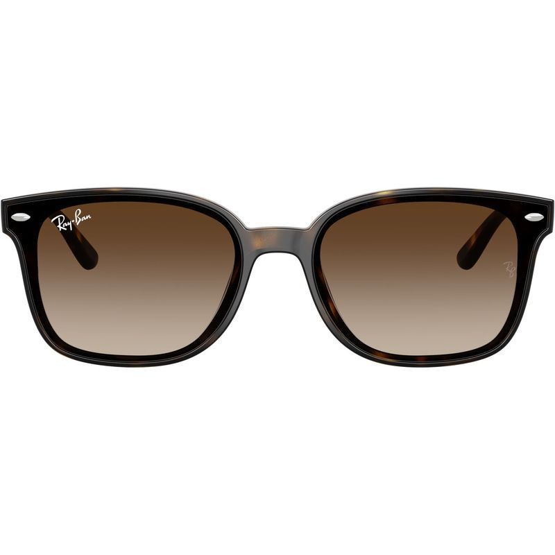 Ray-Ban RB4461D