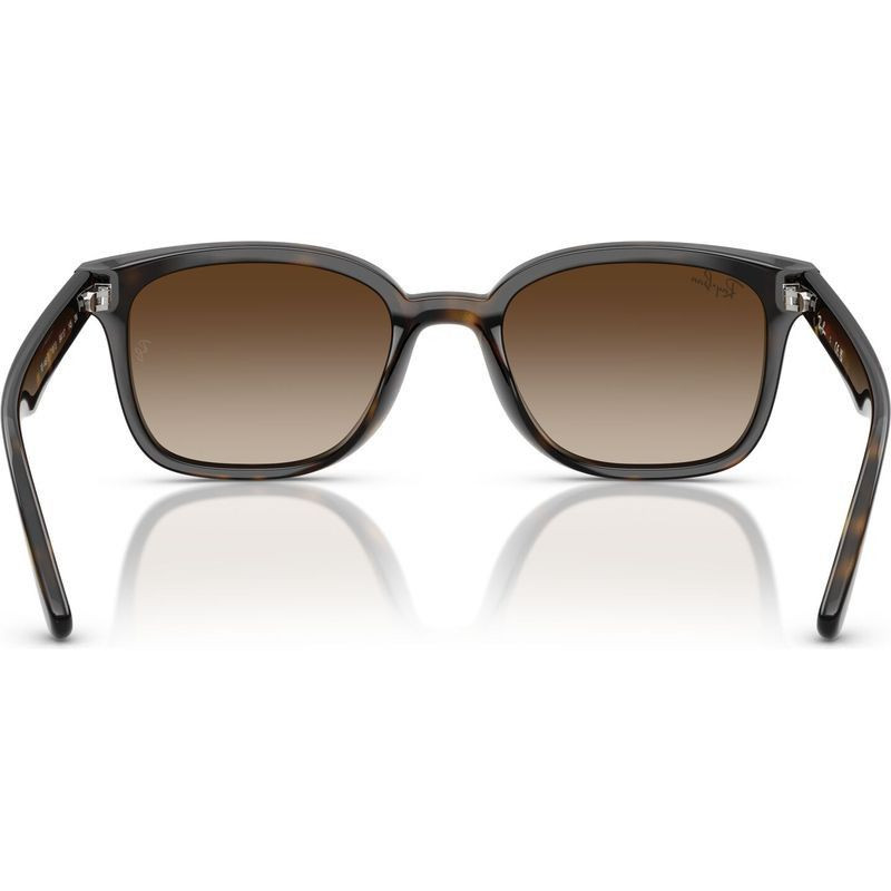 Ray-Ban RB4461D