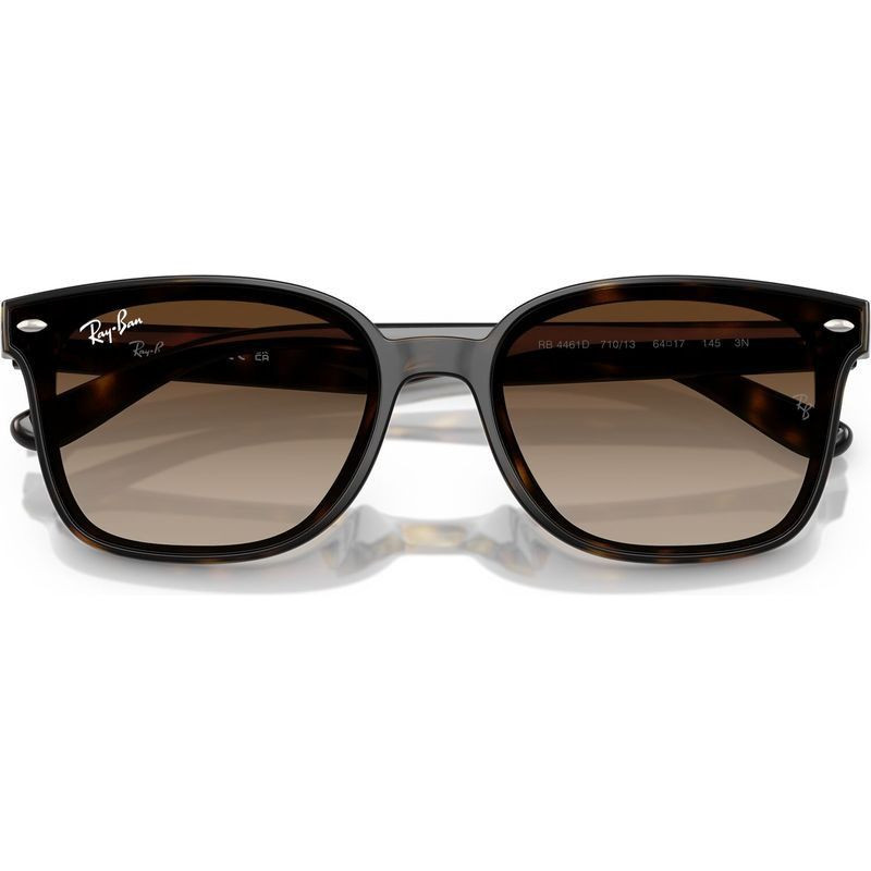 Ray-Ban RB4461D