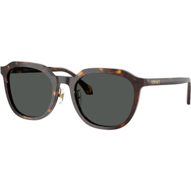 Dark Havana/Dark Grey Lenses