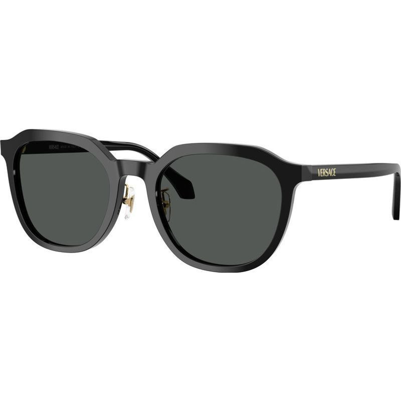 Versace VE4493D