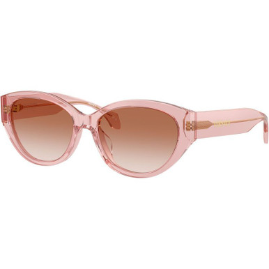 Transparent Peach/Pink Gradient Lenses