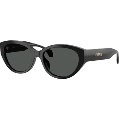 Black/Dark Grey Lenses