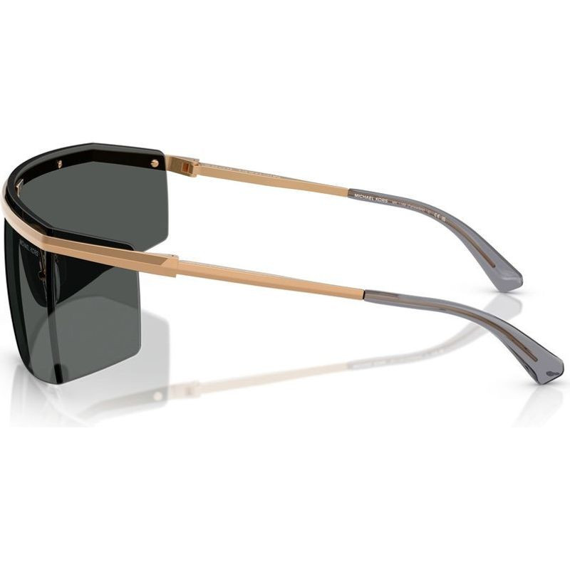 Michael Kors Palisades MK1169