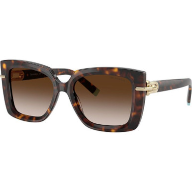 Havana/Brown Gradient Lenses