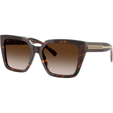 Havana/Brown Gradient Lenses