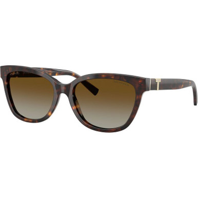 Havana/Brown Gradient Polarised Lenses