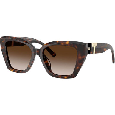 Havana/Brown Gradient Lenses