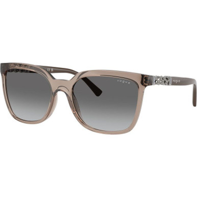 Transparent Brown/Grey Gradient Lenses