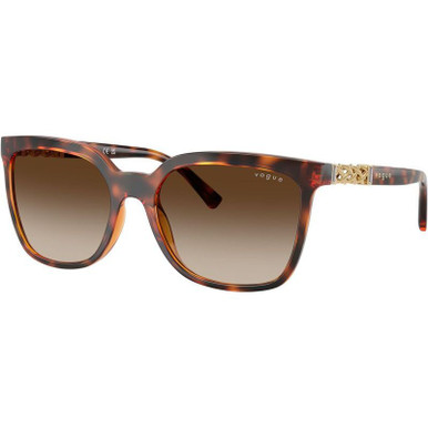 Dark Havana/Brown Gradient Lenses