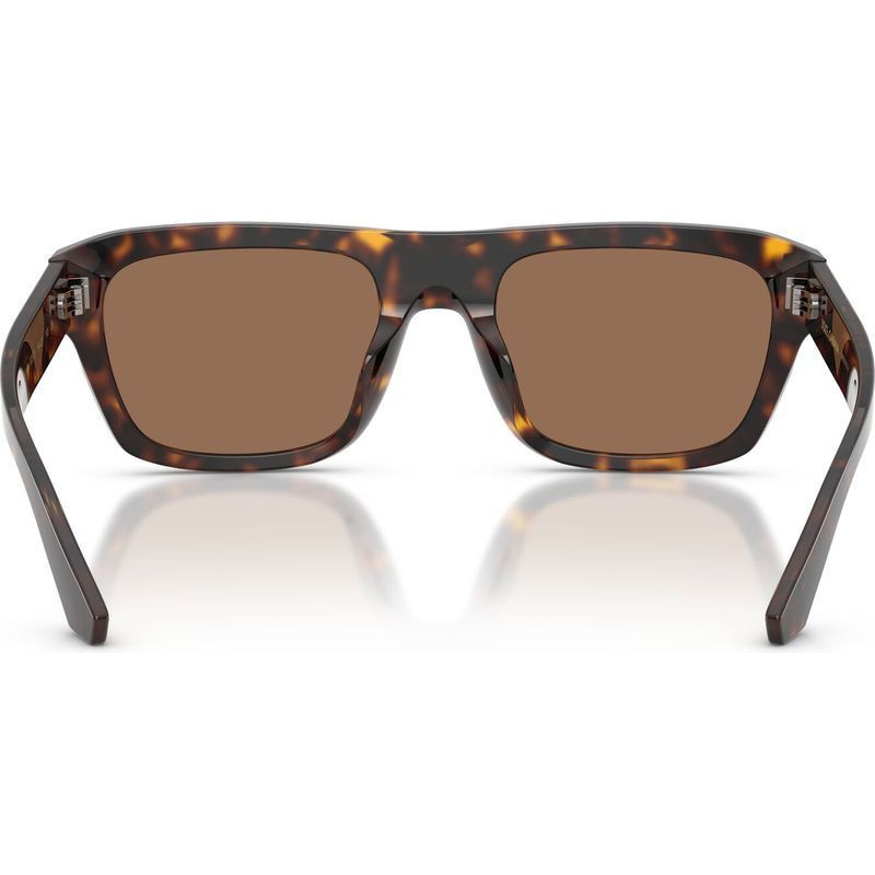 Dolce & Gabbana DG4496