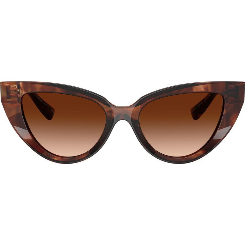 Dolce & Gabbana DG4497