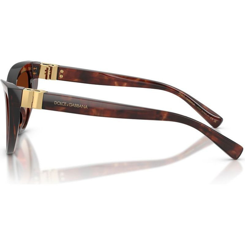 Dolce & Gabbana DG4497